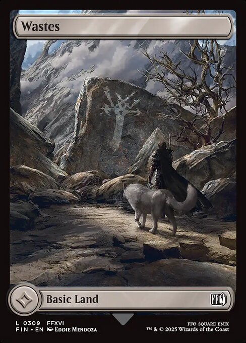 Wastes // Final Fantasy // FIN 309