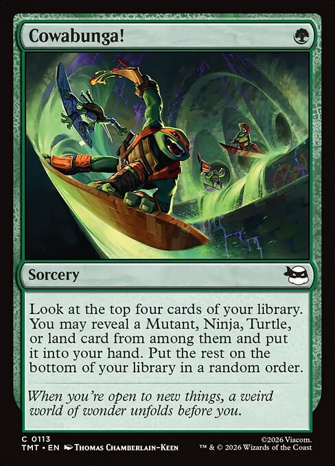 Cowabunga! // Teenage Mutant Ninja Turtles // TMT 113