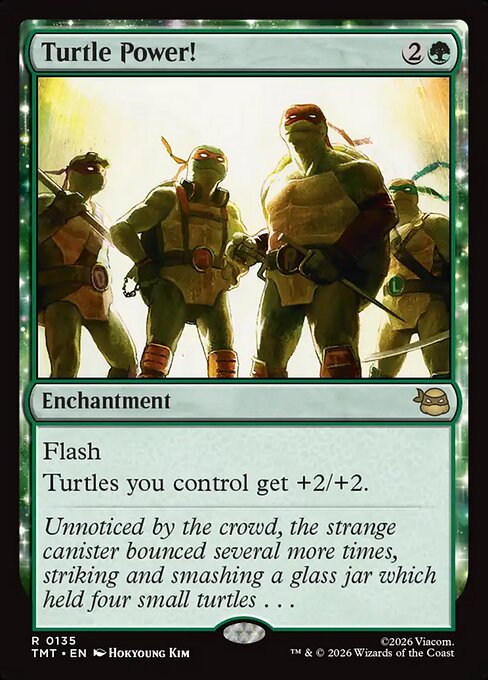 Turtle Power! // Teenage Mutant Ninja Turtles // TMT 135