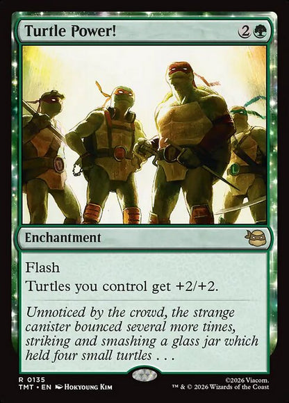 Turtle Power! // Teenage Mutant Ninja Turtles // TMT 135