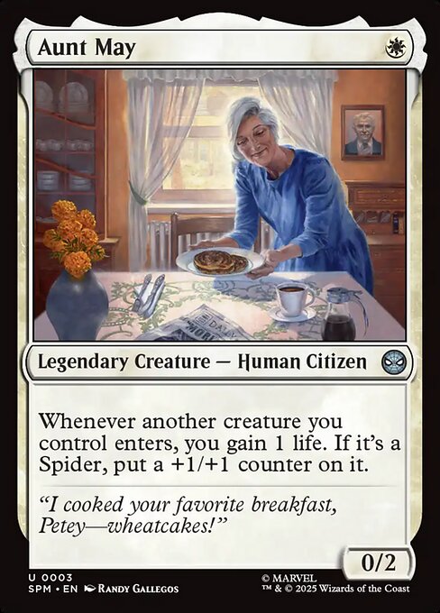 Aunt May // Marvel's Spider-Man // SPM 3
