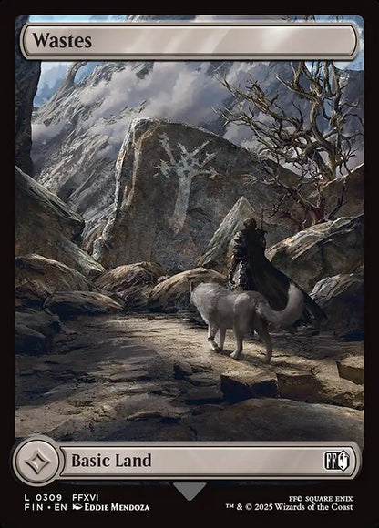 Wastes // Final Fantasy // FIN 309