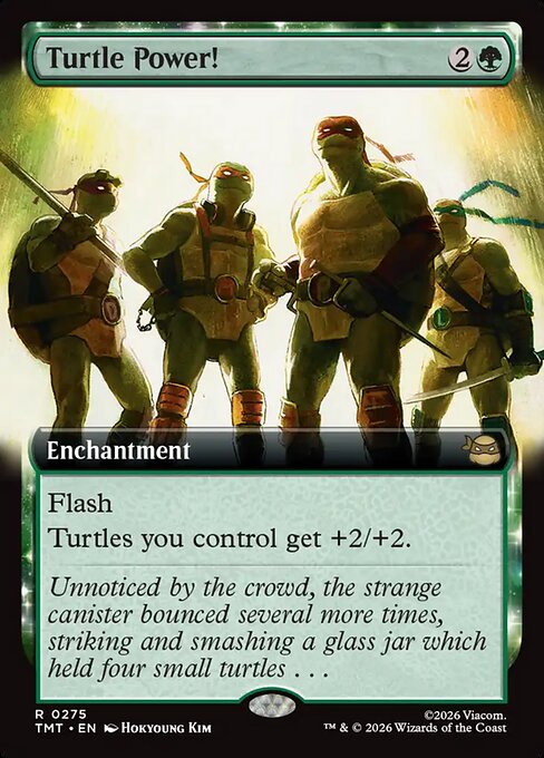 Turtle Power! // Teenage Mutant Ninja Turtles // TMT 275