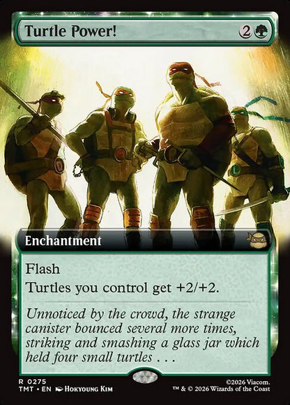 Turtle Power! // Teenage Mutant Ninja Turtles // TMT 275