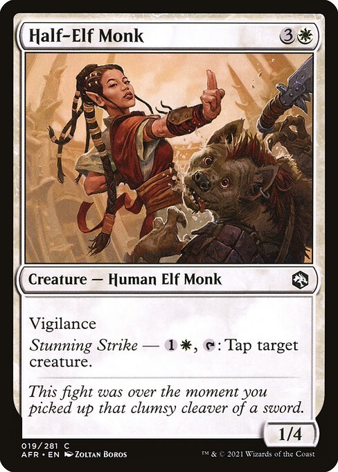 Half-Elf Monk // Adventures in the Forgotten Realms // AFR 19