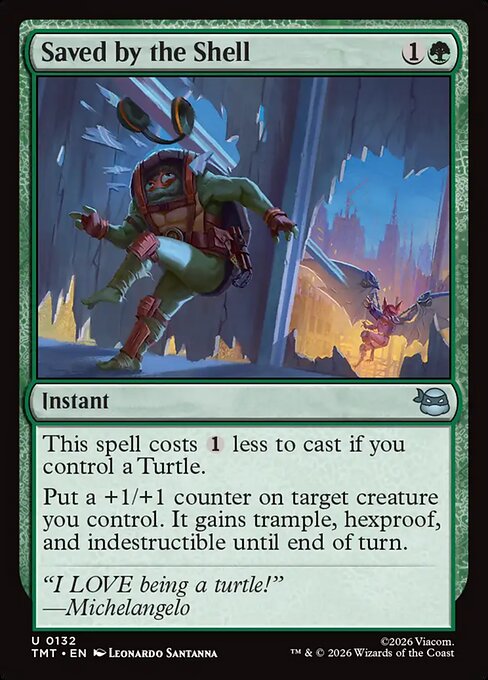Saved by the Shell // Teenage Mutant Ninja Turtles // TMT 132