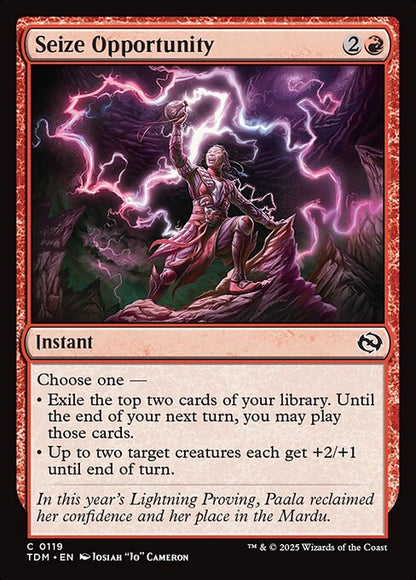 Seize Opportunity // Tarkir: Dragonstorm // TDM 119